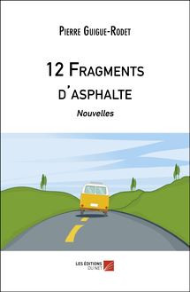 12 Fragments d asphalte