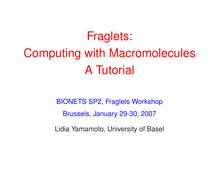 Tutorial Fraglets : Computing with macromolecules