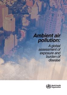 OMS : rapport sur les estimations nationales de l’exposition à la pollution de l’air et les effets sur la santé
