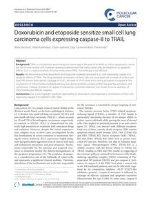 Doxorubicin and etoposide sensitize small cell lung carcinoma cells expressing caspase-8 to TRAIL