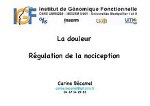 La douleurRégulation de la nociception Carine Bécamelcarine cnrs fr04
