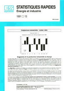 STATISTIQUES RAPIDES Énergie et industrie. 1991 13