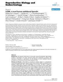 LCN6, a novel human epididymal lipocalin