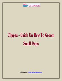 Clippas - Guide On How To Groom Small Dogs