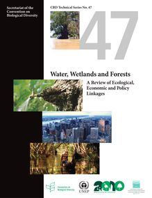 Water, wetlands and forests - A review of Ecological Economic and Policy Linkages