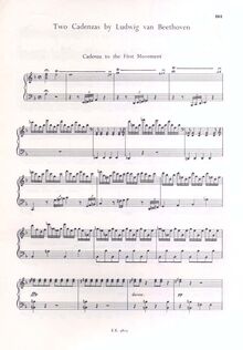 Partition 2 Cadenzas (WoO 58), Piano Concerto No.20, D minor, Mozart, Wolfgang Amadeus par Wolfgang Amadeus Mozart