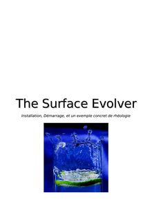 The surface evolver