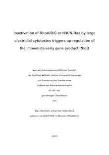 Inactivation of RhoA, -B, -C or H-, K-, N-Ras by large clostridial cytotoxins triggers up-regulation of the immediate early gene product RhoB [Elektronische Ressource] / von Johannes Hülsenbeck