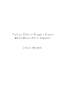 Nonlinear effects of energetic particle driven instabilities in tokamaks [Elektronische Ressource] / Michael Brüdgam