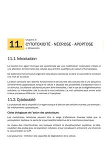 Cytotoxicité, nécrose, apoptose