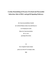 Cardiac remodeling in pressure overload and myocardial infarction [Elektronische Ressource] : role of PKC_e63 and gp130 signaling pathways / von Praphulla Chandra Shukla
