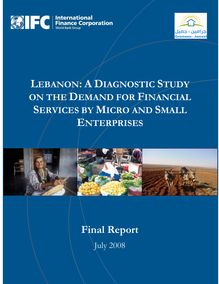 Lebanon: a diagnostic study on the demand for financial services by micro and small enterprises