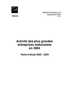Activité des plus grandes entreprises mahoraises en 2004 (Panel détude 2003 - 2004)