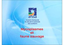 Cours Mycoplasmes et faune sauvage