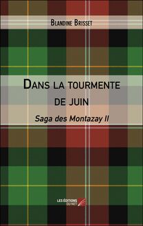 Dans la tourmente de juin : Saga des Montazay II