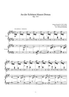Partition Four-main Piano, pour Blue Danube, Op. 314, On the Beautiful Blue Danube - WalzesAn der schönen blauen Donau