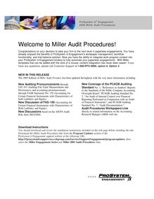 2005 Audit Procedures