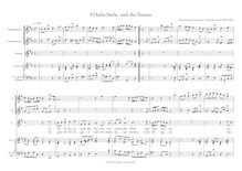 Partition , O liebe Seele, zieh die Sinnen (after BWV 494)Erntedank/Thanksgiving, chansons et airs