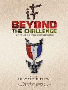 IF - Beyond the Challenge