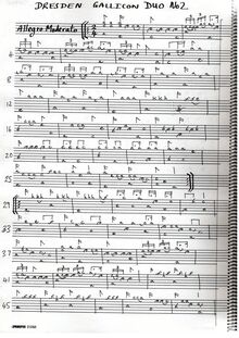Partition luth 1, Gallichon Duo No.2, Schiffelholz, Johann Paul