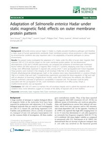 Adaptation of Salmonella entericaHadar under static magnetic field: effects on outer membrane protein pattern