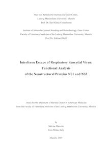Interferon escape of respiratory syncytial virus [Elektronische Ressource] : functional analysis of nonstructural proteins NS1 and NS2 / by Sabrina Marozin