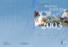 Rapport annuel 2003 de l Institut de veille sanitaire