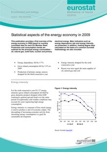 Statistical aspects of the energy economy in 2009.