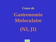 Gastronomie Moleculaire (N1, J1)