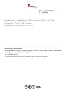 Le gisement paléolithique inférieur de La Pointe de Saint-Colomban, Carnac (Morbihan) - article ; n°1 ; vol.28, pg 7-36