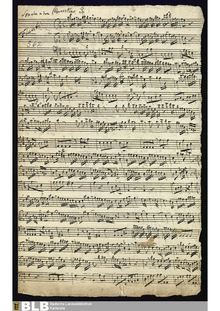 Partition complète et parties, Concertino pour 2 flûtes en D major