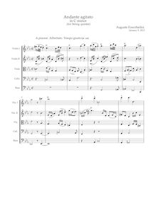 Partition complète, Andante agitato en C minor (pour corde quintette)