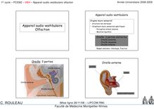 1er cycle PCEM2 MB4 Appareil audio vestibulaire olfaction Année Universitaire