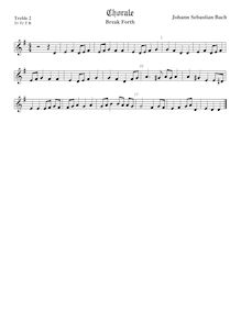 Partition viole de gambe aigue 2, Weihnachtsoratorium, Christmas Oratorio