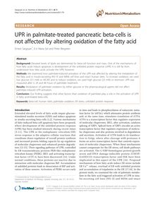 UPR in palmitate-treated pancreatic beta-cells is not affected by altering oxidation of the fatty acid