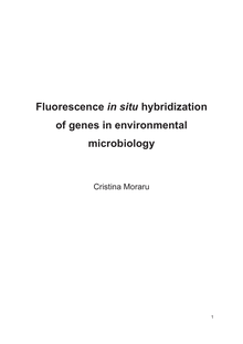 Fluorescence in situ hybridization of genes in environmental microbiology [Elektronische Ressource] / vorgelegt von Cristina Moraru