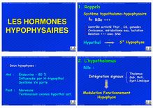 PCEM2 MI6 Régulations hormonales et chronobiologie Physiologie des hormones Hormones Hypophysaires Année Universitaire