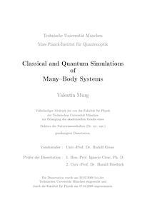 Classical and quantum simulations of many-body systems [Elektronische Ressource] / Valentin Murg