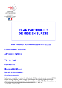 PPMS version simplifiée novembre 2010