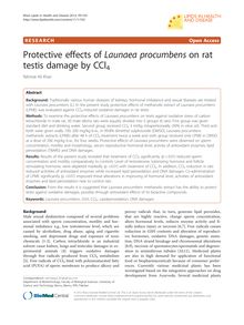 Protective effects of Launaea procumbens on rat testis damage by CCl4