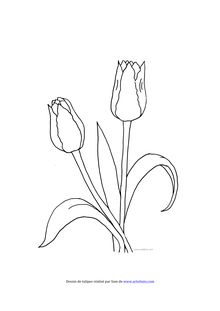 Fleurs tulipes à colorier