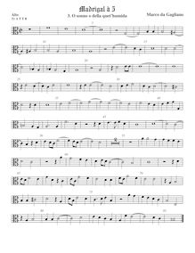 Partition ténor viole de gambe 1, alto clef, Madrigali a cinque voci, Libro 1 par Marco da Gagliano