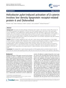 Helicobacter pylori-induced activation of β-catenin involves low density lipoprotein receptor-related protein 6 and Dishevelled