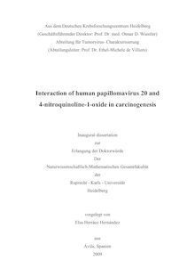 Interaction of human papillomavirus 20 and 4-nitroquinoline-1-oxide in carcinogenesis [Elektronische Ressource] / vorgelegt von Elsa Herráez Hernández