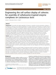 Engineering the cell surface display of cohesins for assembly of cellulosome-inspired enzyme complexes on Lactococcus lactis
