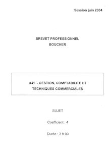 Gestion - Comptabilité et techniques commerciales 2004 BP - Boucher