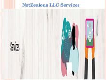 What are services in Netzealous LLC