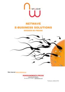 NETWAVE E-BUSINESS SOLUTIONS