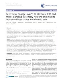 Resveratrol engages AMPK to attenuate ERK and mTOR signaling in sensory neurons and inhibits incision-induced acute and chronic pain