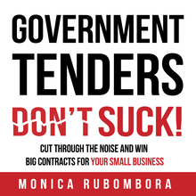 GOVERNMENT TENDERS (DON T) SUCK!